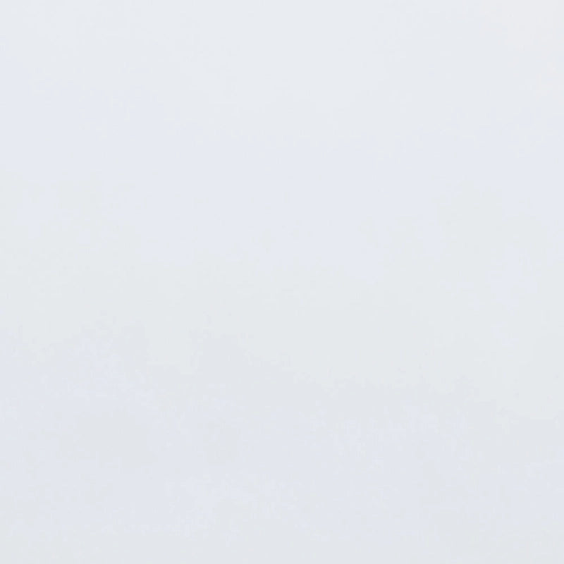 Mariana Classic and Traditional White Finished Wood Platform Bed