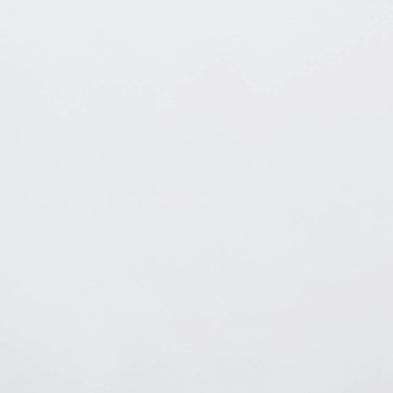 Mariana Classic and Traditional White Finished Wood Platform Bed