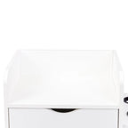 4-Layer Salon Storage Cabinet with Drawers and Dryer Holders