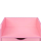 4-Layer Salon Storage Cabinet with Drawers and Dryer Holders
