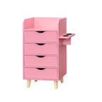 4-Layer Salon Storage Cabinet with Drawers and Dryer Holders