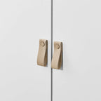 Storage Cabinet with Door
