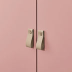 Storage Cabinet with Door